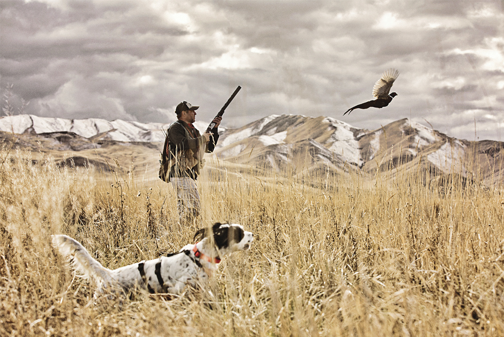 bird hunting in idaho